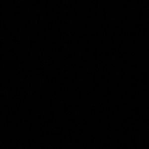 Meet your Posher, Isabel